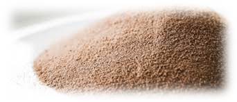 meeting_global_protein